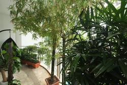 Cote D'Azur (D15), Condominium #195111112